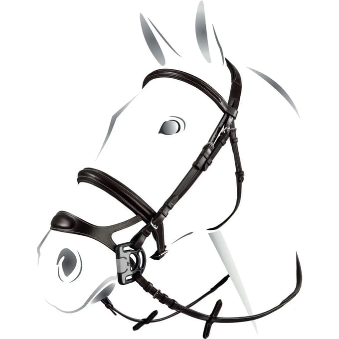 Combiné hoofdstel met neusriem model Equestro