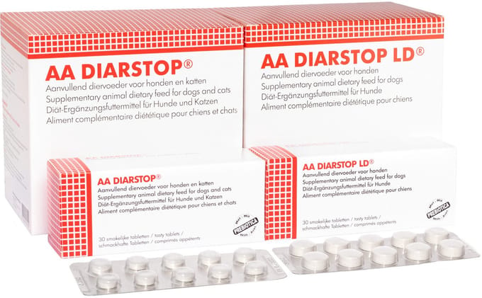 AA Diarstop - 10 tabletten