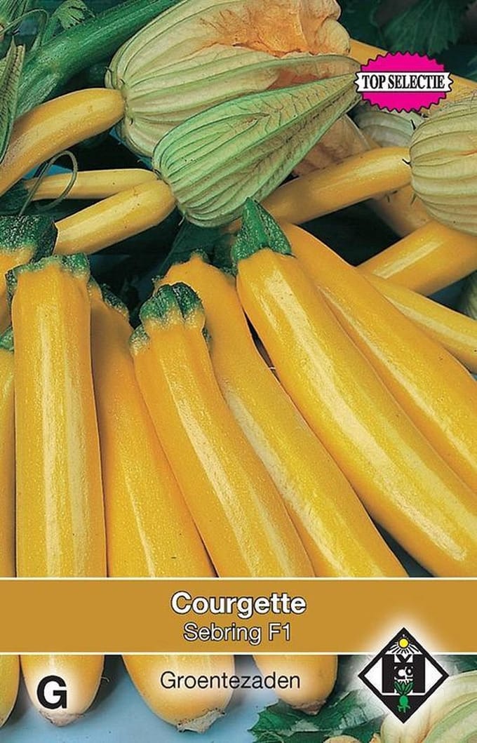 2 stuks Courgette Sebring F1