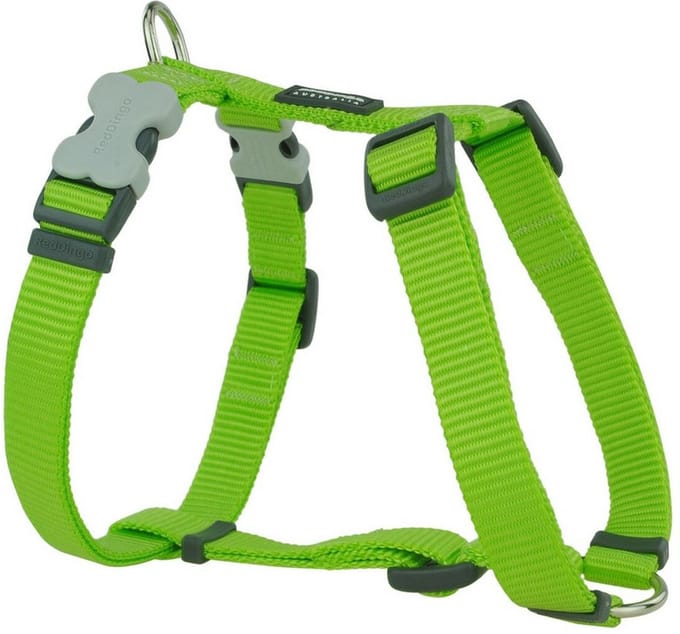 Red Dingo Hondentuig 25mm Neck 46-76cm Body 56-80cm DH-ZZ-LG-25