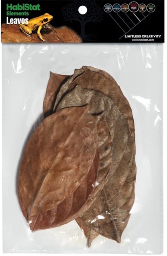 HabiStat Bladeren Jackfruit 10 Stuks voor bioactieve terrarium bodembedekking