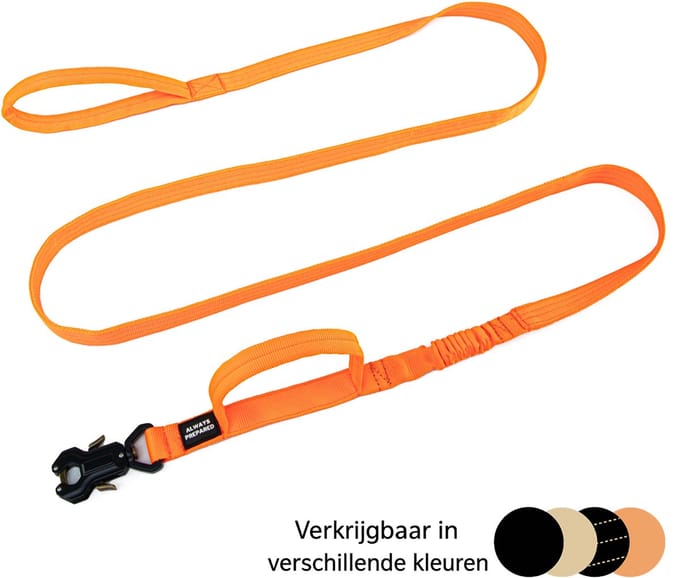 Always Prepared Pro Hondenriem - Elastisch - 240 cm - Oranje