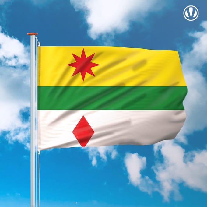Vlag Lansingerland 150x225cm