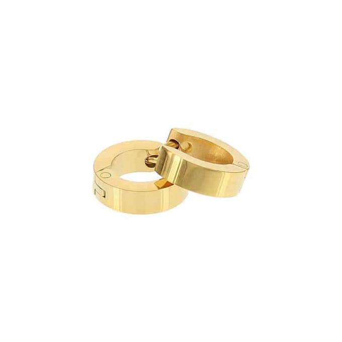 Kalli edelstalen Oorbel 1900 shiny Goud 10mm
