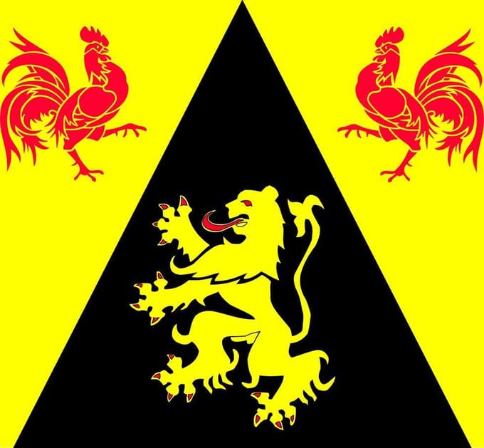 Vlag Waals Gewest 120x180cm