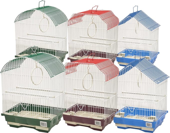 kooi kleine vogel