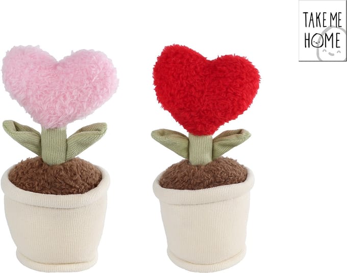 Van Manen pluche knuffel hart plant Take Me Home 17cm decoratief.