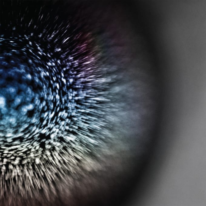 Blossoms - Emptyset