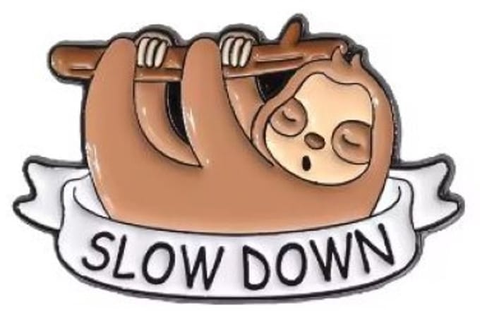 Pin Broche - enamel pin - kledingspeld - Slow down luiaard