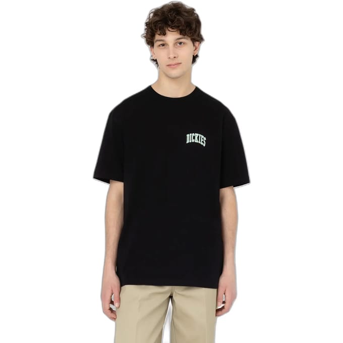 T-shirt met korte mouwen Dickies Aitkin Chest