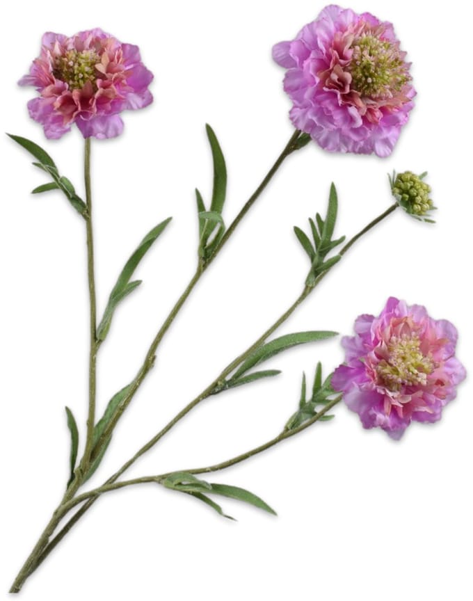 Silk-ka Kunstbloem-Zijden Bloem Scabiosa Tak Lavendel-Crème 80 cm