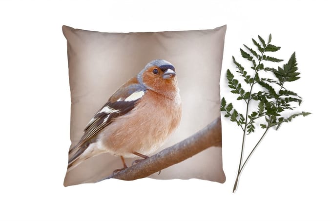 Sierkussens - Kussentjes Woonkamer - 50x50 cm - Vogel - Dieren - Vink