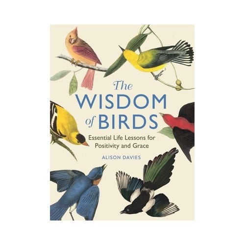 The Wisdom Of Birds - Alison Davies