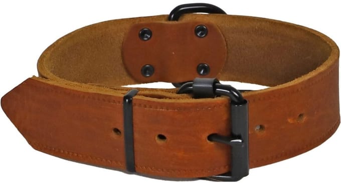 Halsband softleder 30mm/50cm cognac Gebr. de Boon