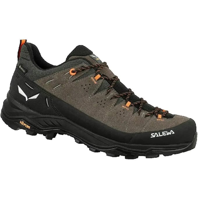 Wandelschoenen Salewa Alp Trainer 2 Gore-Tex