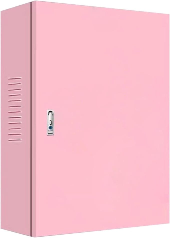 Beschermbox EV-lader - Laadpaal Behuizing - Lader Beveiligen - Afsluitbaar Antidiefstal - Medium - Zilver