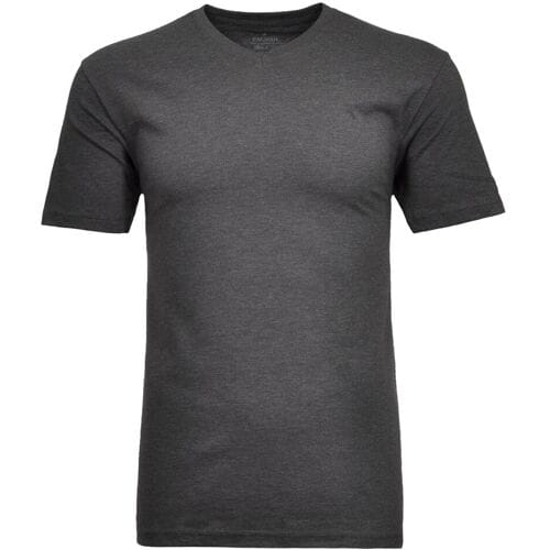 Ragman T-Shirt Uni V-Neck Single Jersey Antraciet / male