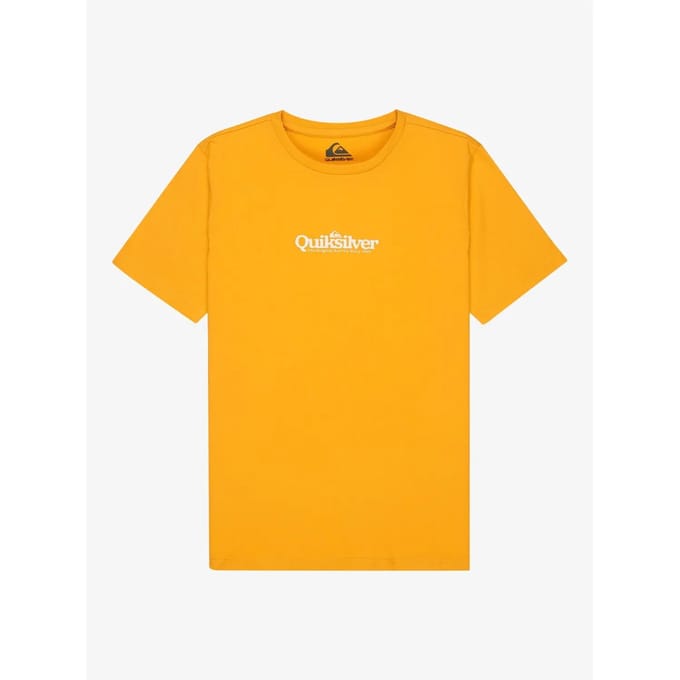 T-shirt kind Quiksilver Fineline