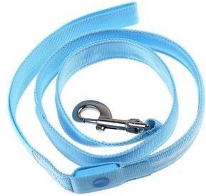 Led hondenriem - BLAUW