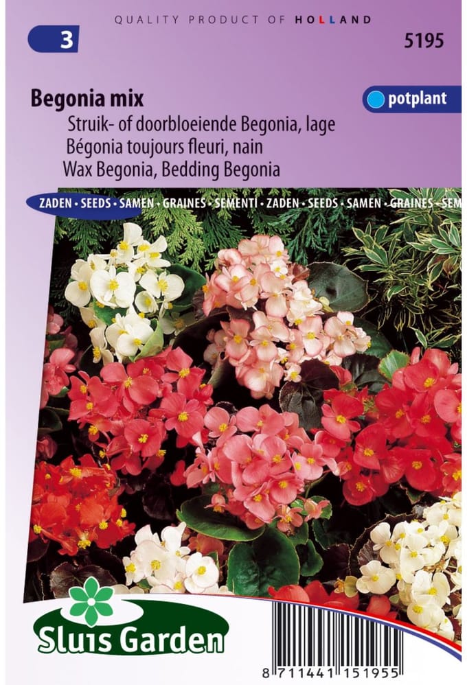 Sluis Garden - Begonia laag gemengd