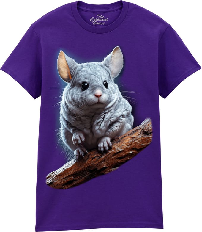 Chincilla The Coloured House T-shirt M