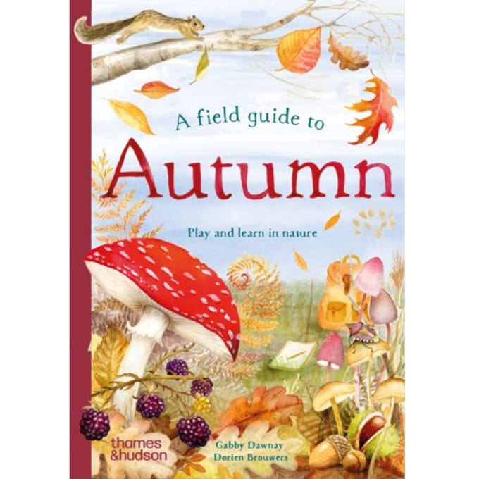A Field Guide To Autumn - Field Guide Series - Gabby Dawnay