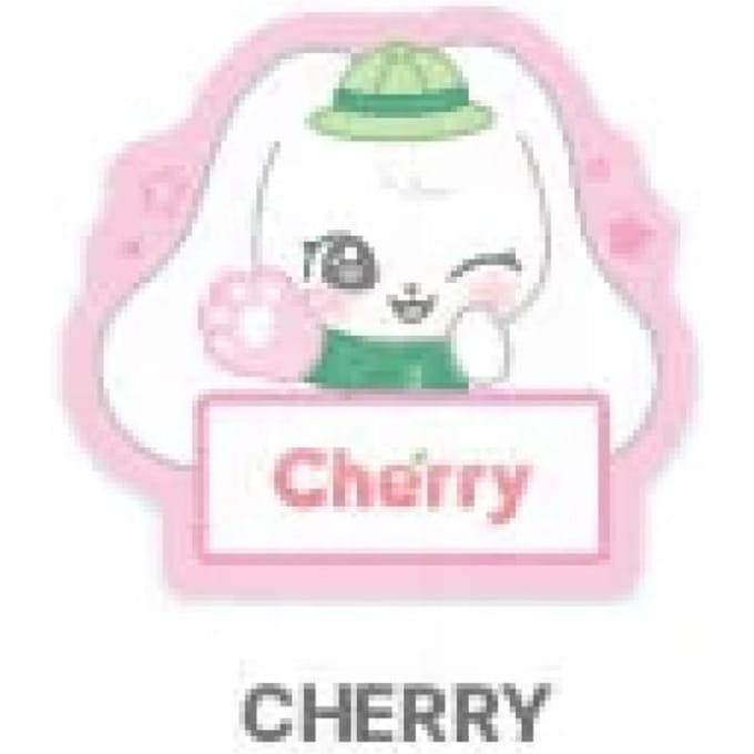 IVE COLLAB met EVERLAND - [ForEVER IVE] OFFICIEEL MD MINIVE NAAMPLAATJE JANGWONYOUNG