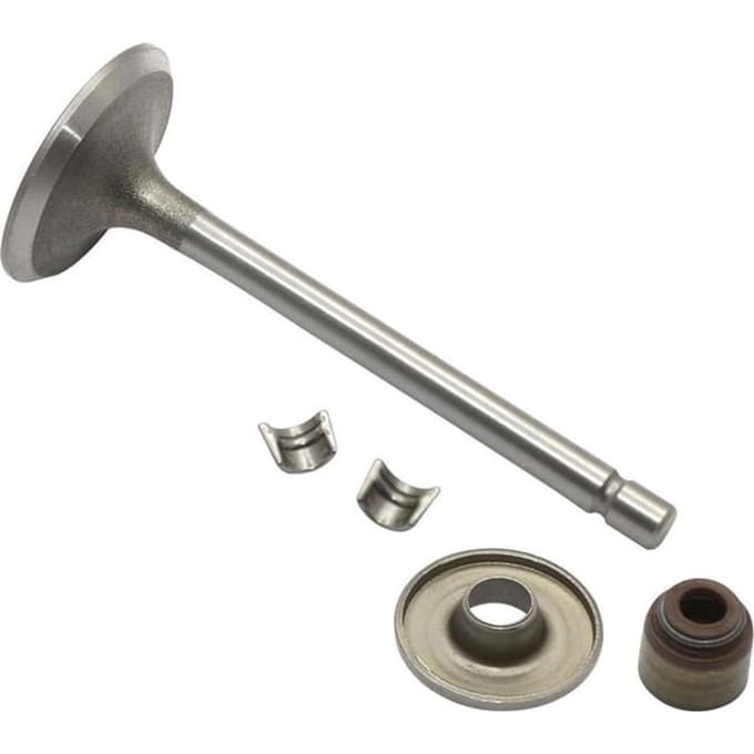 Briggs & stratton inlaatklep
