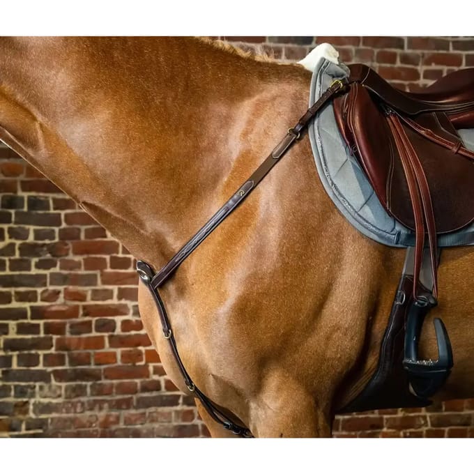 Jachthalsband voor pony Dy'on