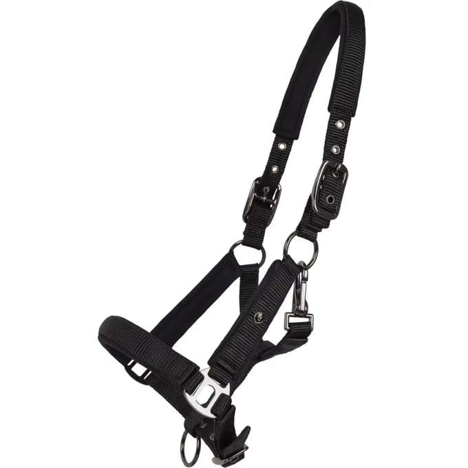 Halster voor paarden QHP Deluxe