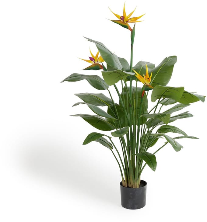Lifa Living - Kunstplant Strelitzia - met oranje bloemen - 135cm