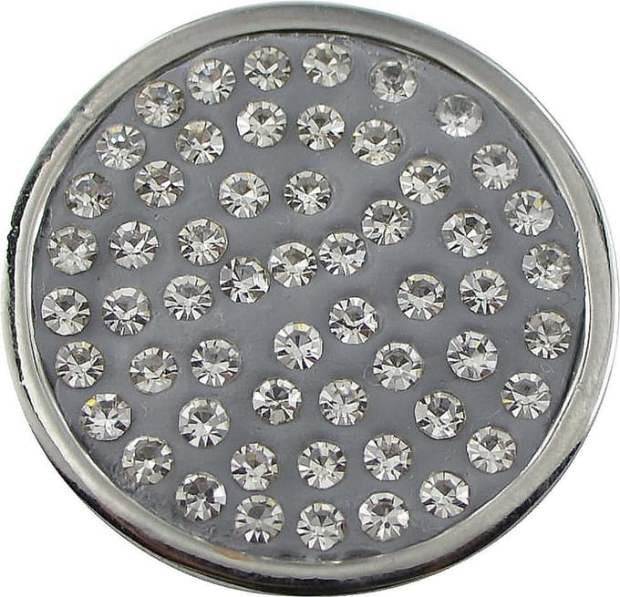 Quiges - Munthouder Munt 25mm  Zirkonia Grijs - EPRS032