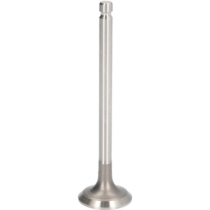 Inlaatklep PARADOWSCY PFIA299