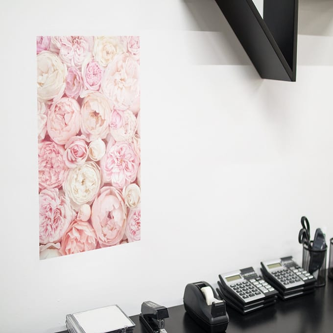 Poster Roze Rozen, A1, Sunaps posterpapier