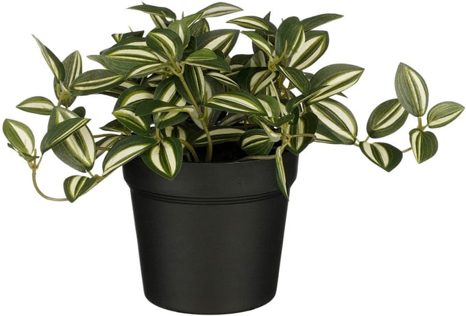 Kunstplant mica tradescantia in pot groen | 6 stuks