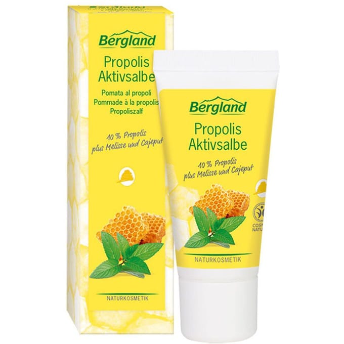 Propolis actieve zalf Pommade à la 30 Zalf