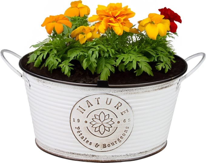 Sunnydays Teil/plantenpot/bloempot - zink - rond - ivoorwit - D25 x H12 cm