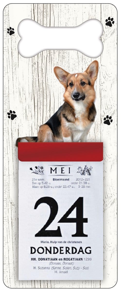 Scheurkalender 2027 Hond: Welsh Corgi Cardigan