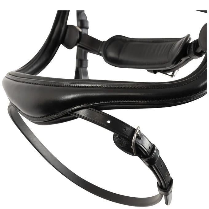Anatomisch ruiterbit BR Equitation Horley