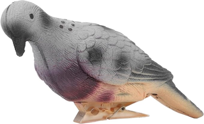 Realistische 3D Duif Boogschietdoel van EVA voor Binnen en Buiten, Ideaal voor Training en Competitie