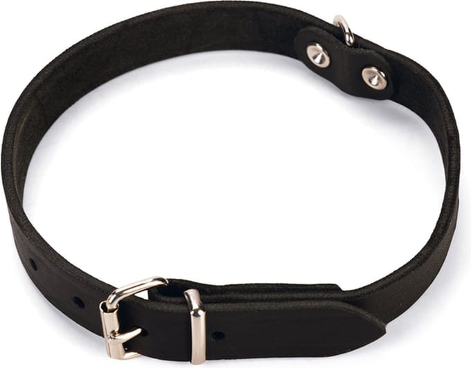 Karlie Halsband - 52cm - Zwart