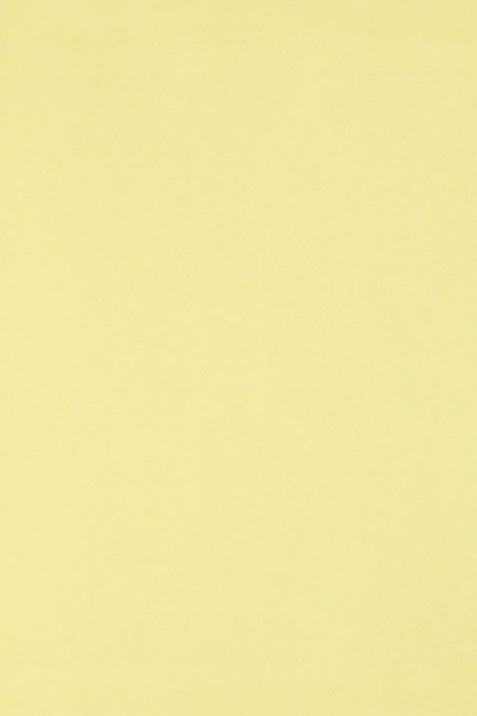 Netuno - geel glad gekleurd papier - A4 - 21 x 29,7 cm - 50 vellen - 80 gram - Circolor Camomile