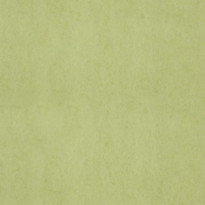 FC Chroma 58-Lime - vliesbehang - 10m x 53cm