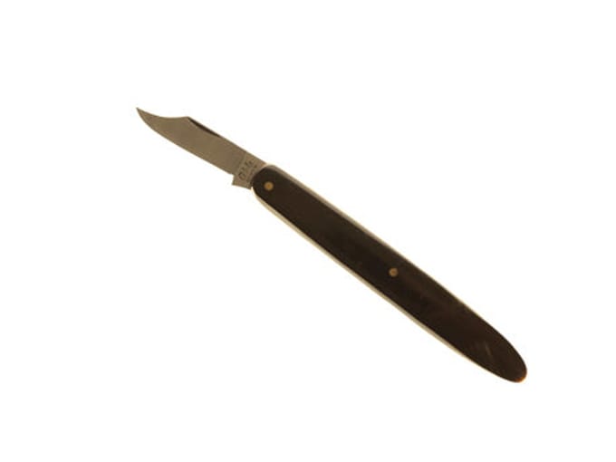 Adola oculeermes