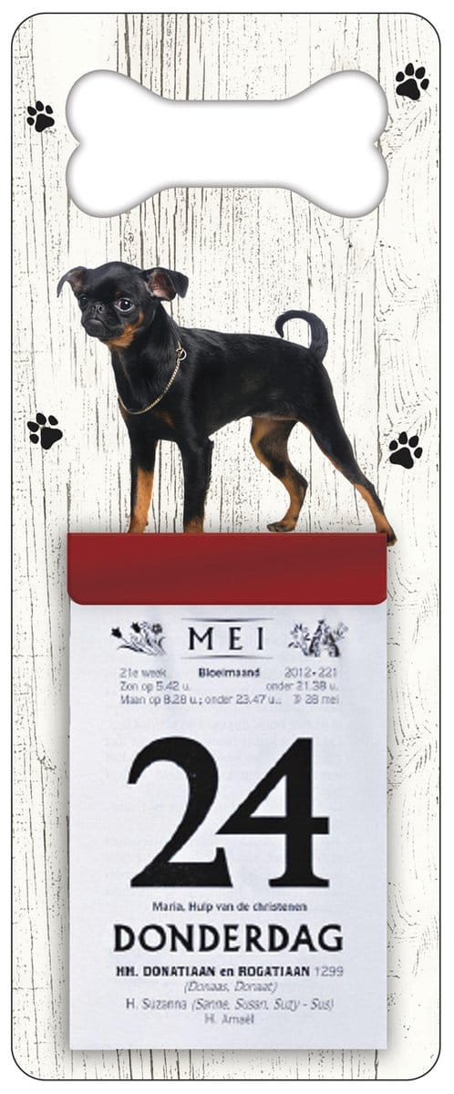 Scheurkalender 2027 Hond: Petit Brabancon
