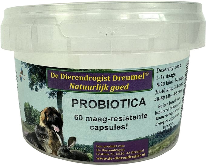 Probiotica Capsules Dierendrogist - Maagsapresistent, 60 Stuks - Ondersteuning Darmgezondheid Honden