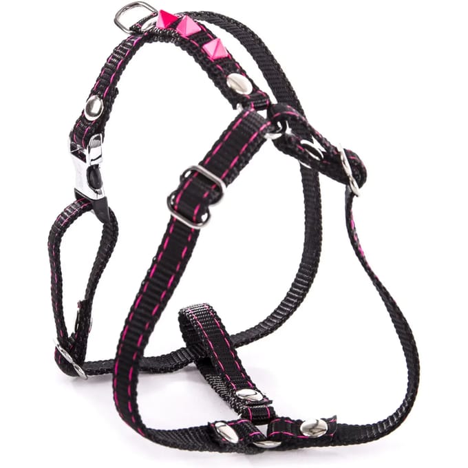 Fluo Harnas voor Hond Martin Sellier