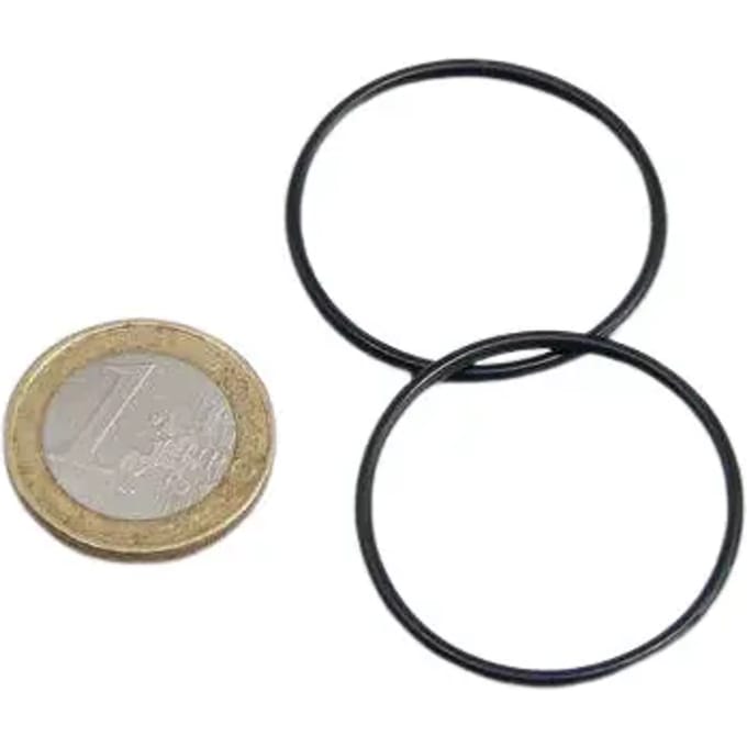 JBL ProCristal i30 O-Ring 2 Stuks