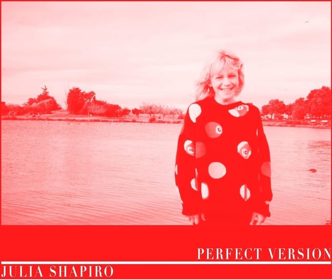 Julia Shapiro - Perfect Version (CD)