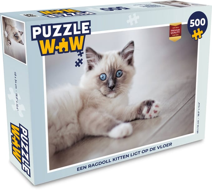 Puzzel Een Ragdoll kitten ligt op de vloer - Legpuzzel - Puzzel 500 stukjes
